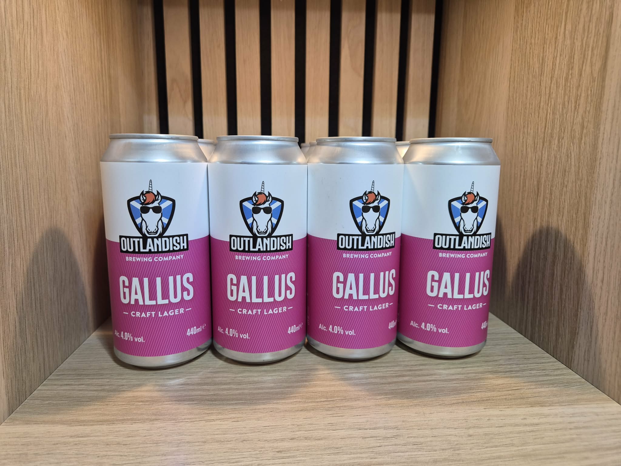 Gallus - Case of 12 - Image 2