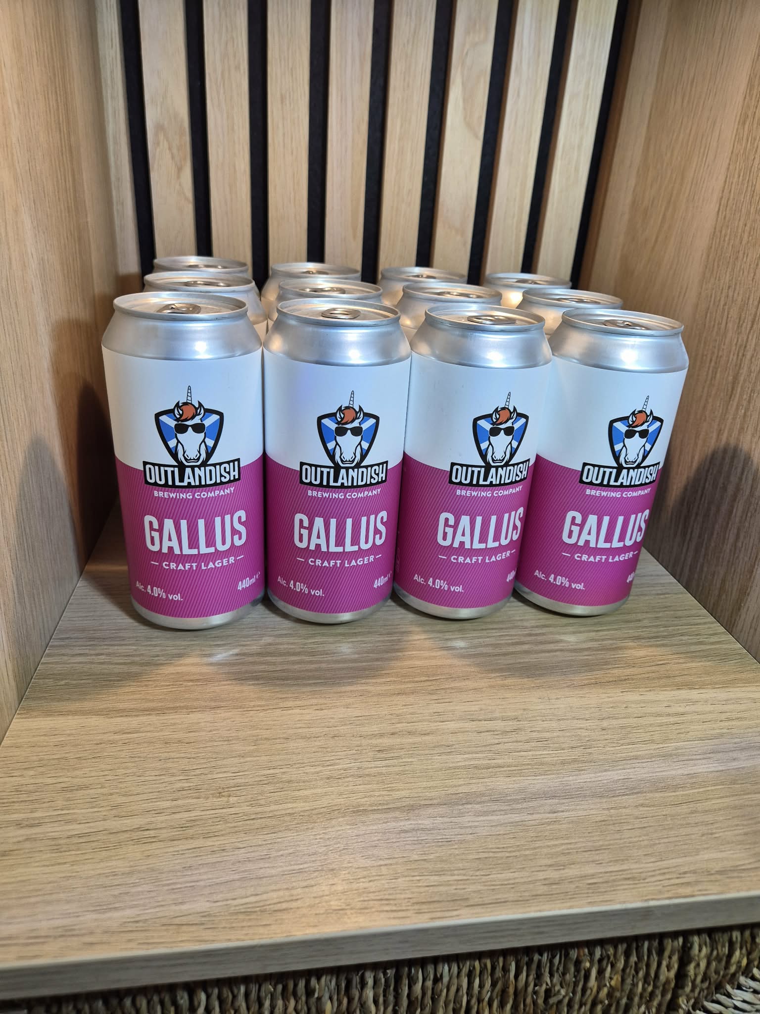 Gallus - Case of 12